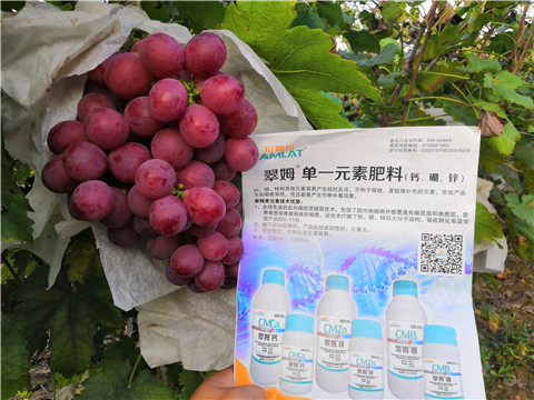 水溶肥，鈣肥，硼肥