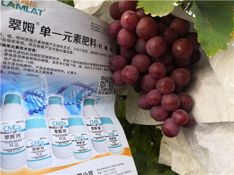 水溶肥，鈣肥，硼肥