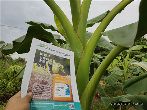 葉面肥，微生物菌劑，硼肥，水溶肥