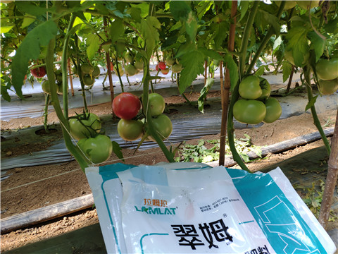 水溶肥，