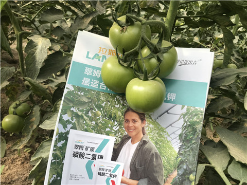 沖施肥，鈣肥