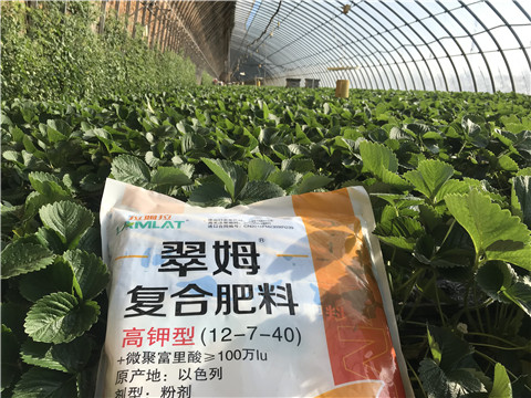 水溶，拉姆拉，翠姆