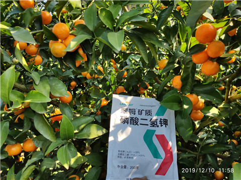 水溶肥，磷酸二氫鉀