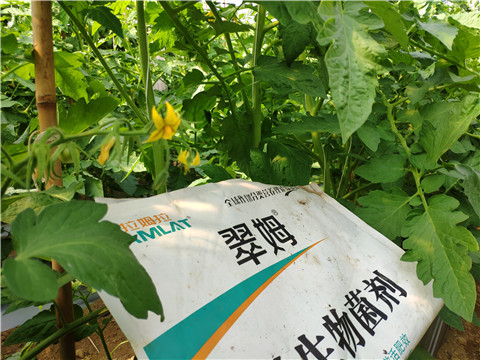 微生物菌劑，