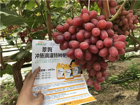 沖施肥，拉姆拉