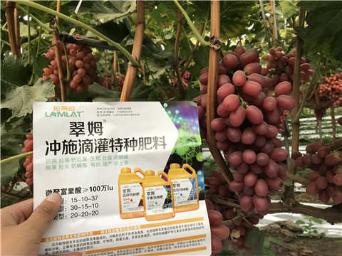 沖施肥，拉姆拉