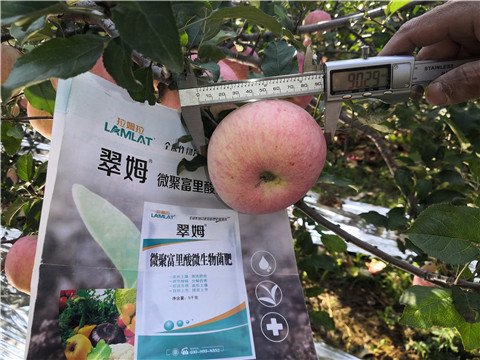 水溶肥，磷酸二氫鉀，微生物菌劑
