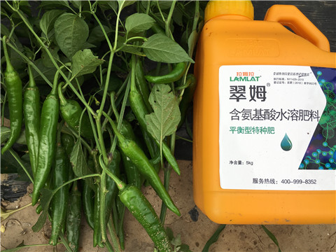根碧多，微生物菌，葉面肥