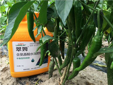 根碧多，微生物菌，葉面肥