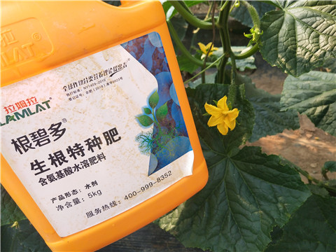 拉姆拉，根碧多，微生物菌劑
