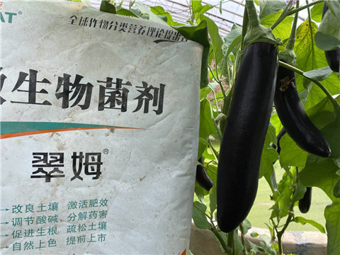 微生物菌劑，拉姆拉