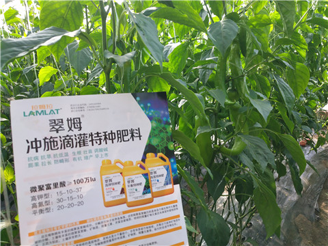 水溶肥，拉姆拉