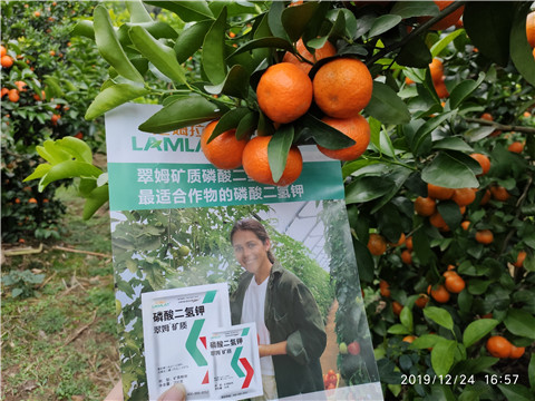 磷酸二氫鉀，葉面肥