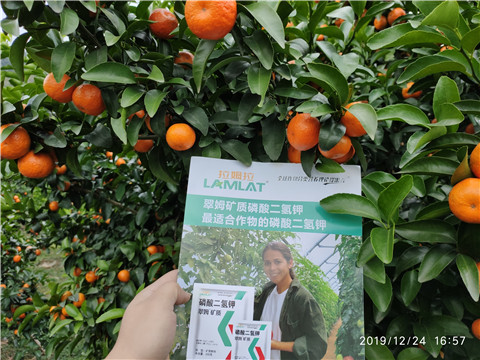 磷酸二氫鉀，葉面肥