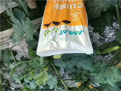 水溶肥，拉姆拉