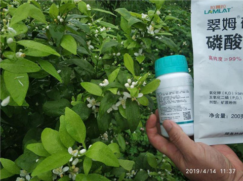 水溶肥，根碧多