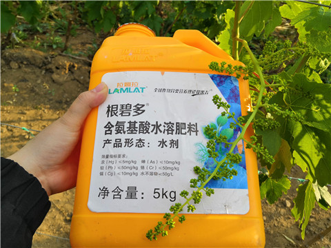生根劑，微生物菌劑