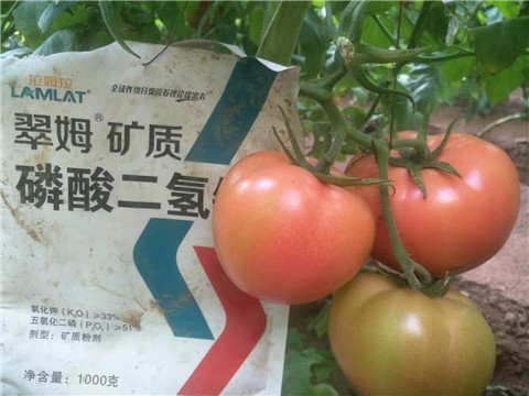 水溶肥，根碧多