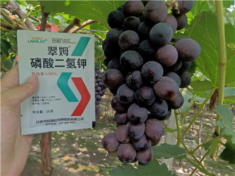 磷酸二氫鉀，葉面肥