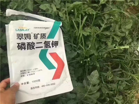 磷酸二氫鉀，硼肥，沖施肥