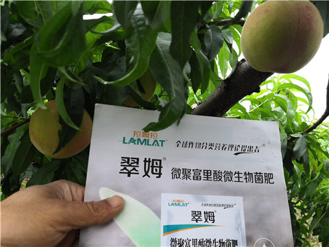 根碧多，微生物菌劑