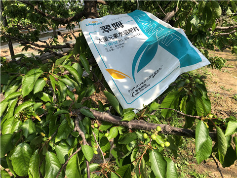 大量元素水溶肥，磷酸二氫鉀，硼肥