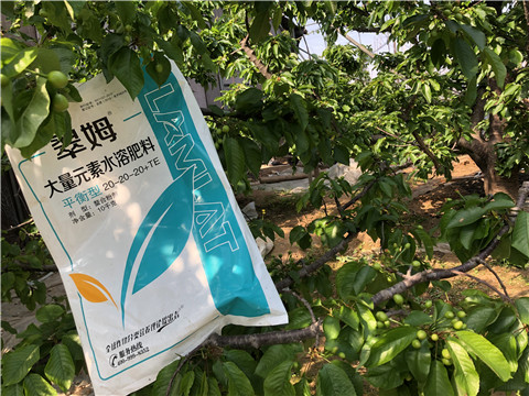 大量元素水溶肥，磷酸二氫鉀，硼肥