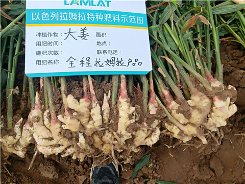 水溶肥，微生物菌劑，拉姆拉