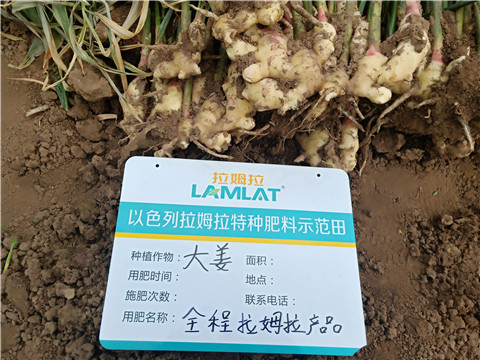 水溶肥，微生物菌劑，拉姆拉