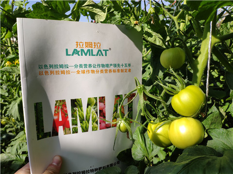 微生物菌劑，拉姆拉，伯示麥