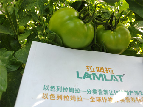 微生物菌劑，拉姆拉，伯示麥
