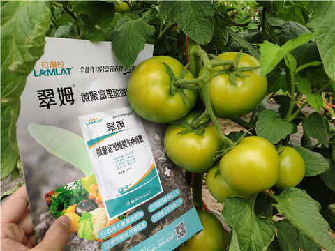 葉面肥，微生物菌劑，磷酸二氫鉀