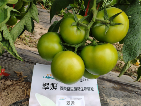 葉面肥，微生物菌劑，磷酸二氫鉀