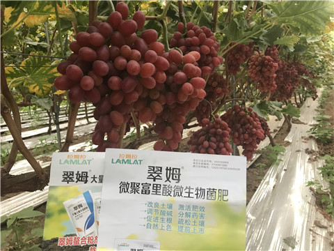 微生物菌劑，硼肥，鈣肥