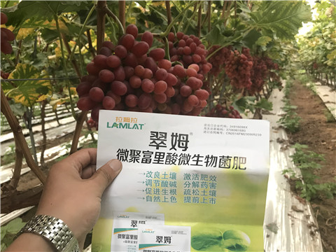 微生物菌劑，硼肥，鈣肥