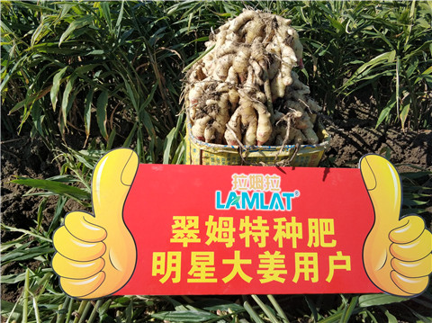 微生物菌劑，拉姆拉