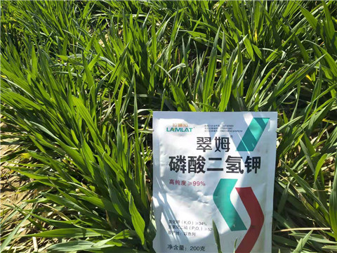 磷酸二氫鉀，葉面肥，拉姆拉
