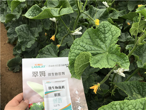 微生物菌劑，水溶肥，拉姆拉