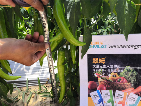 微生物菌劑，復合肥料，拉姆拉