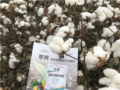 微生物菌劑，根碧多，拉姆拉