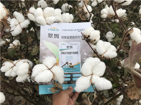 微生物菌劑，根碧多，拉姆拉