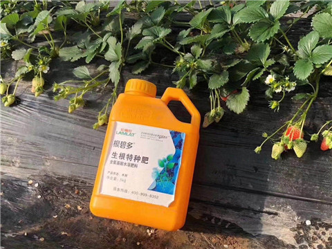 根碧多，微生物菌劑，拉姆拉