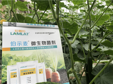 微生物菌劑，生根劑，拉姆拉