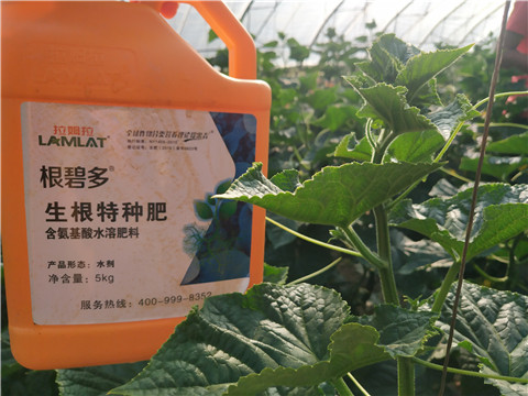 根碧多，磷酸二氫鉀，拉姆拉