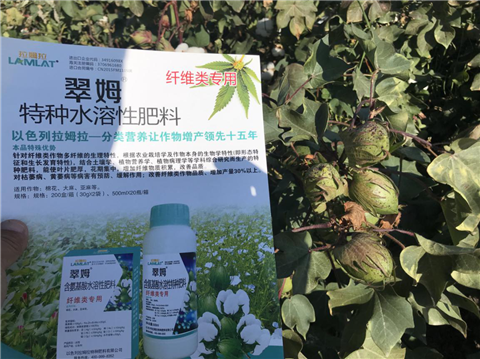 葉面肥，拉姆拉