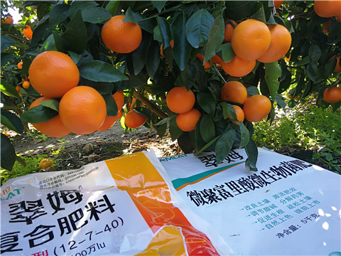 水溶肥，拉姆拉