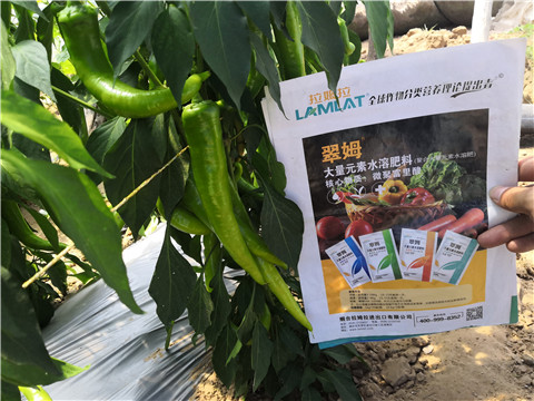 復合肥料，拉姆拉