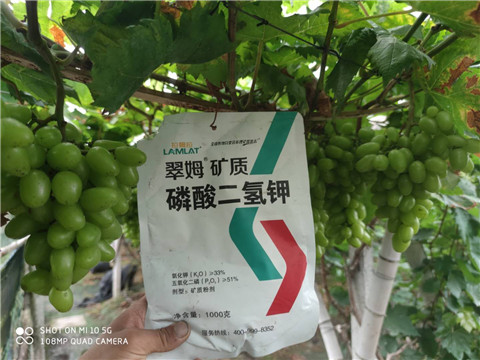 磷酸二氫鉀，拉姆拉