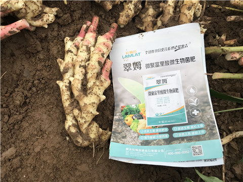 微生物菌劑，翠姆，拉姆拉