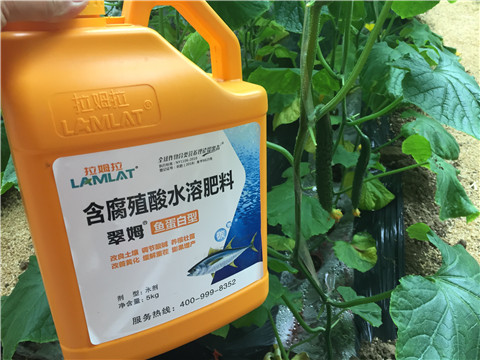 生根劑，魚蛋白水溶肥，拉姆拉